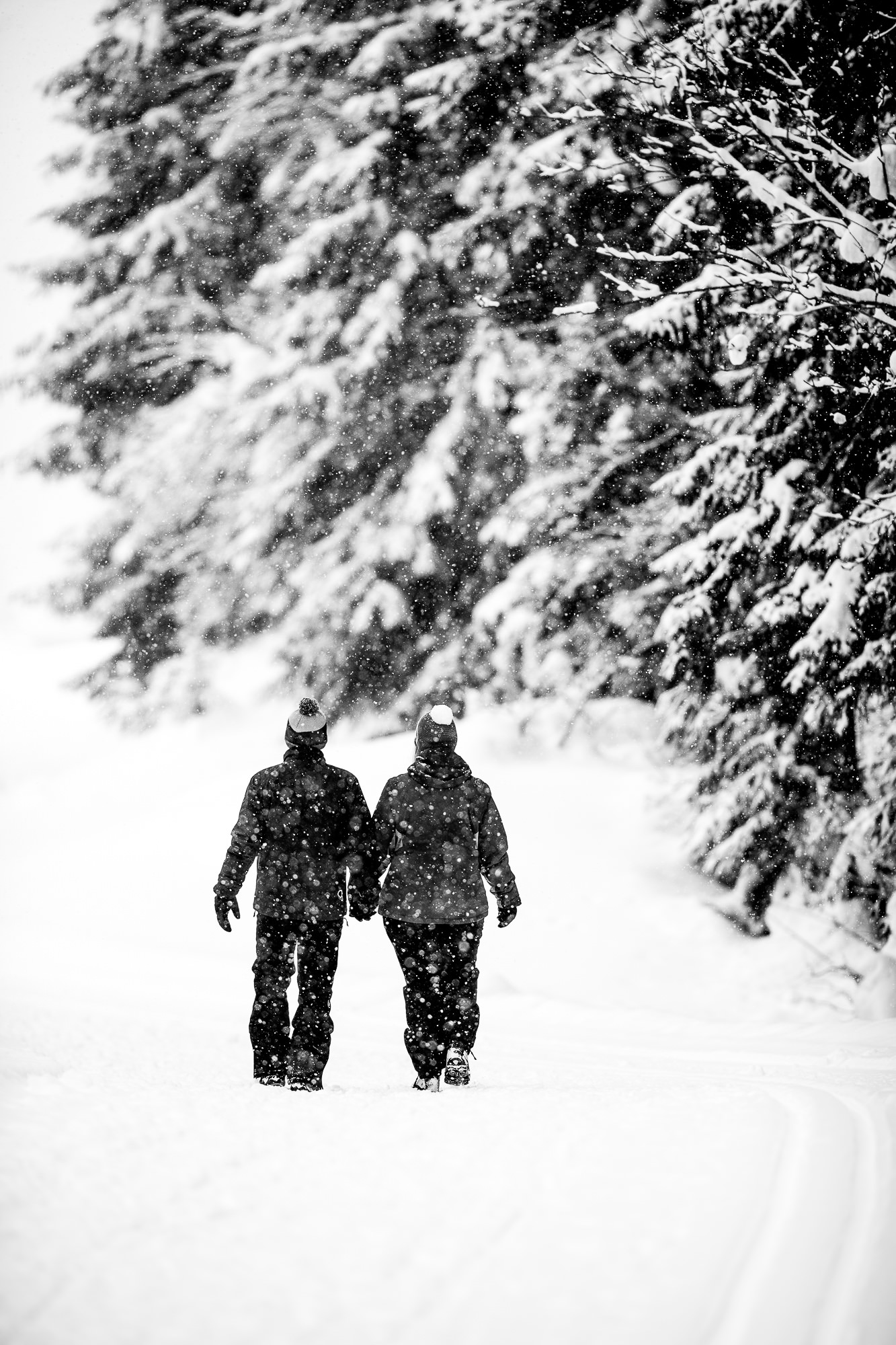 Export x3 1DX28982 Verlobungsfotoshooting 2018 Anna & Dominik 3